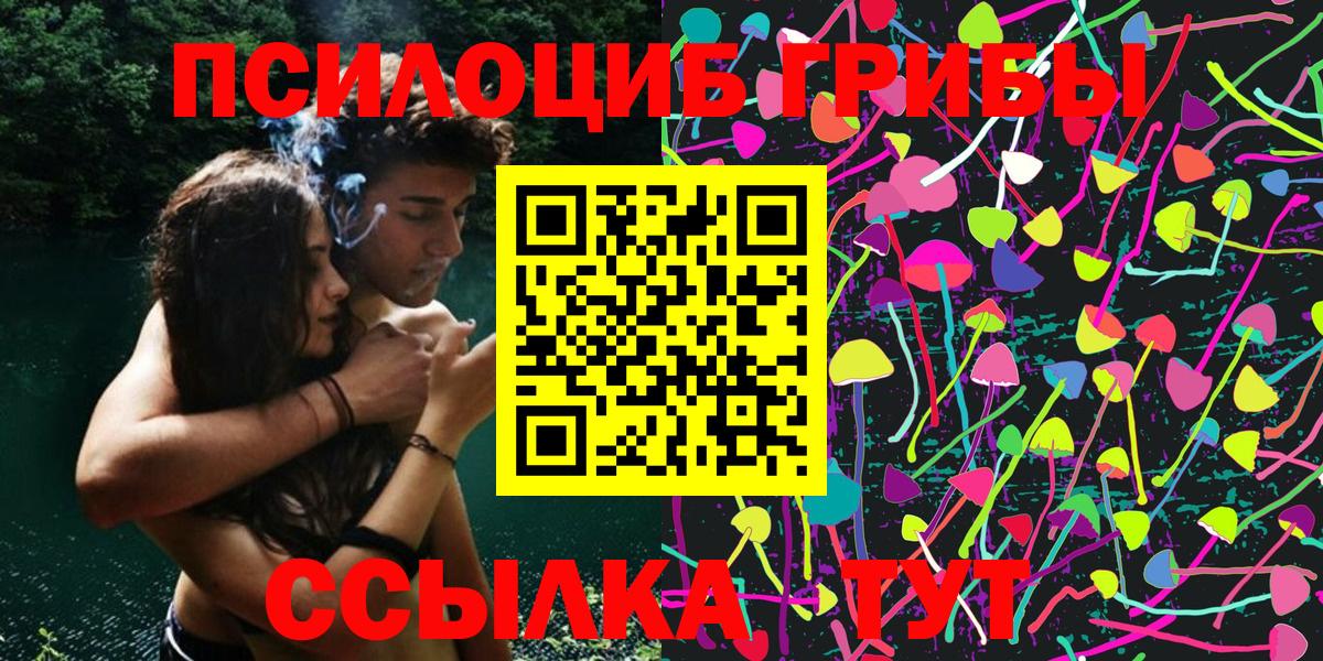 Псилоцибиновые грибы Magic Shrooms  Вход с VPN  Электрогорск 